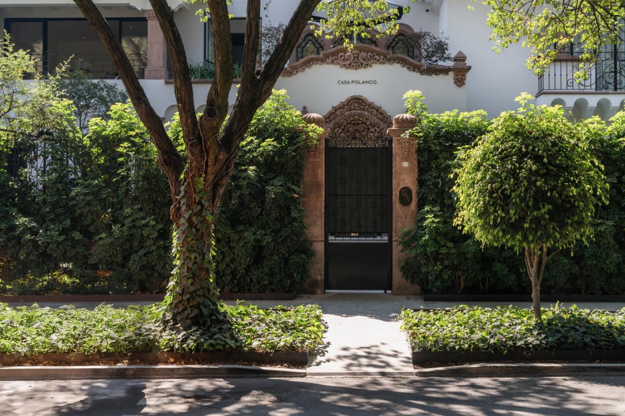 Casa Polanco Hotel Boutique — Photos 3